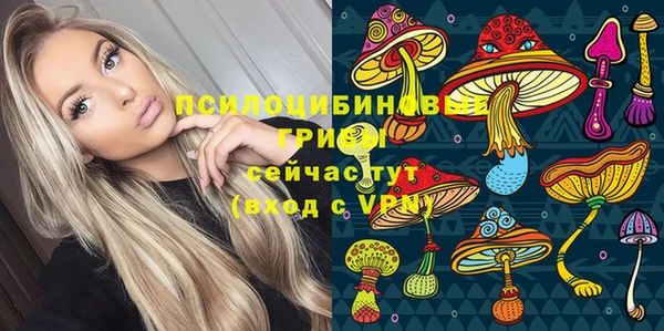 соль ск Елабуга