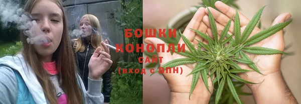 дмт Дмитриев