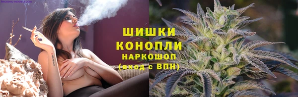 соль ск Елабуга
