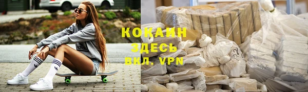 соль ск Елабуга