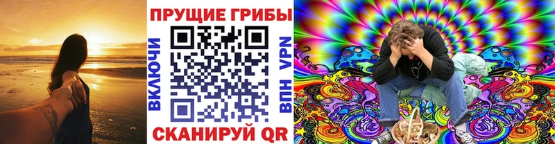 Псилоцибиновые грибы Cubensis  наркошоп  Заозёрный 